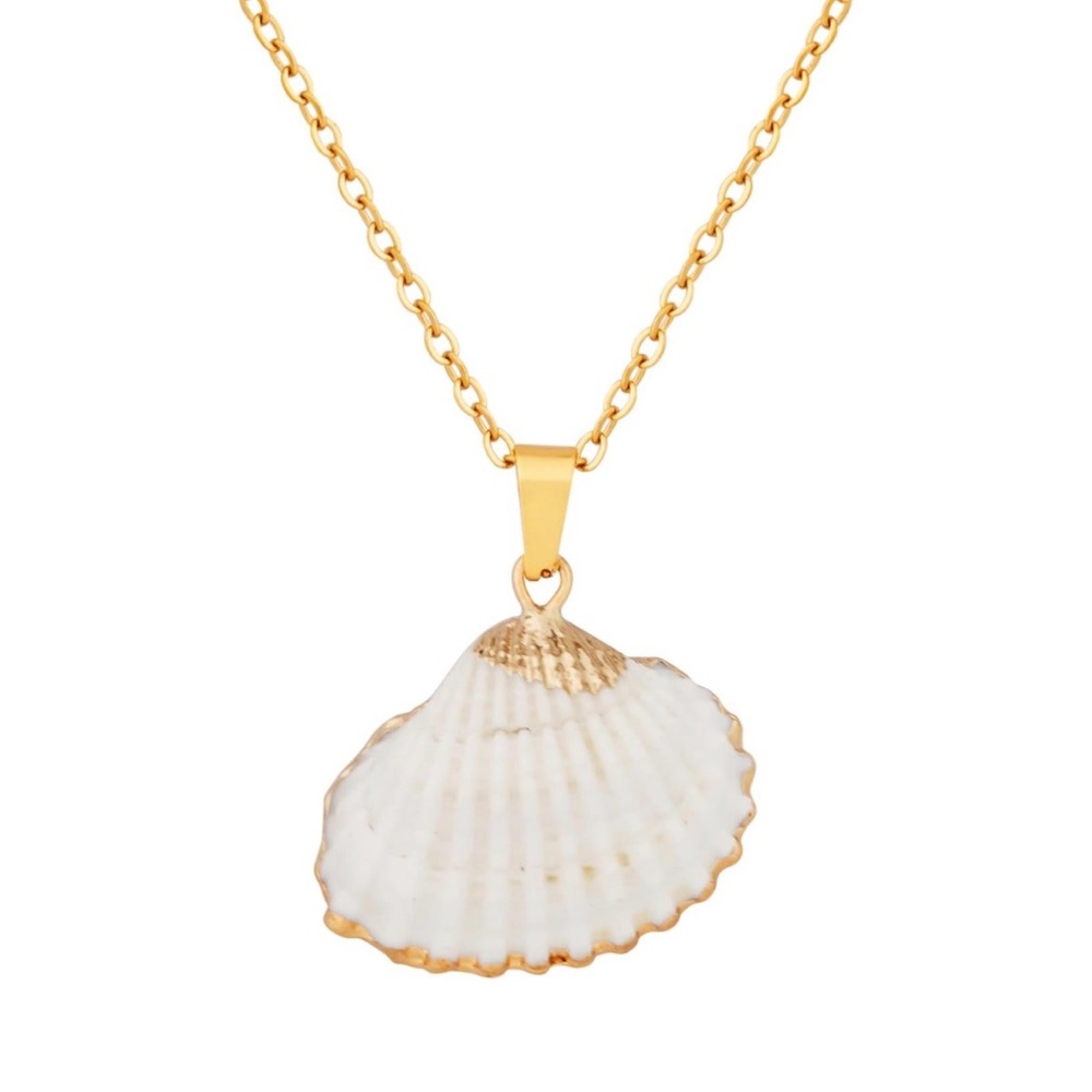 Anthro Real Shell Necklace
